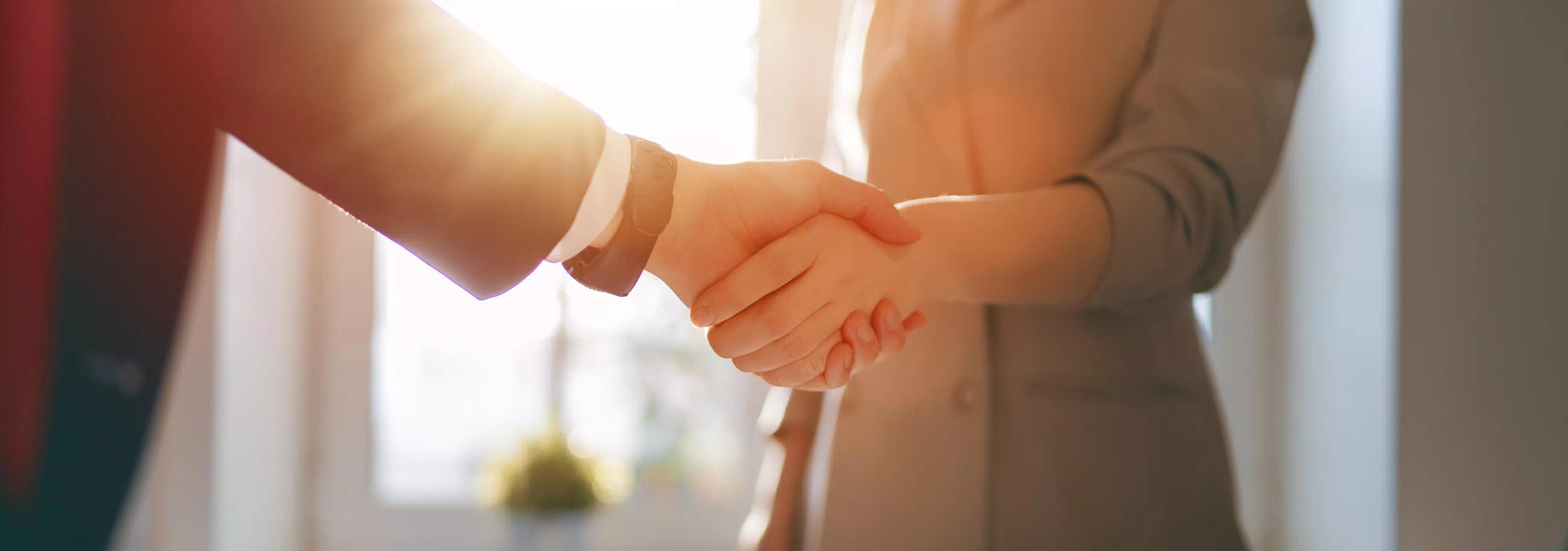 two people in a handshake with the bring sun in the background